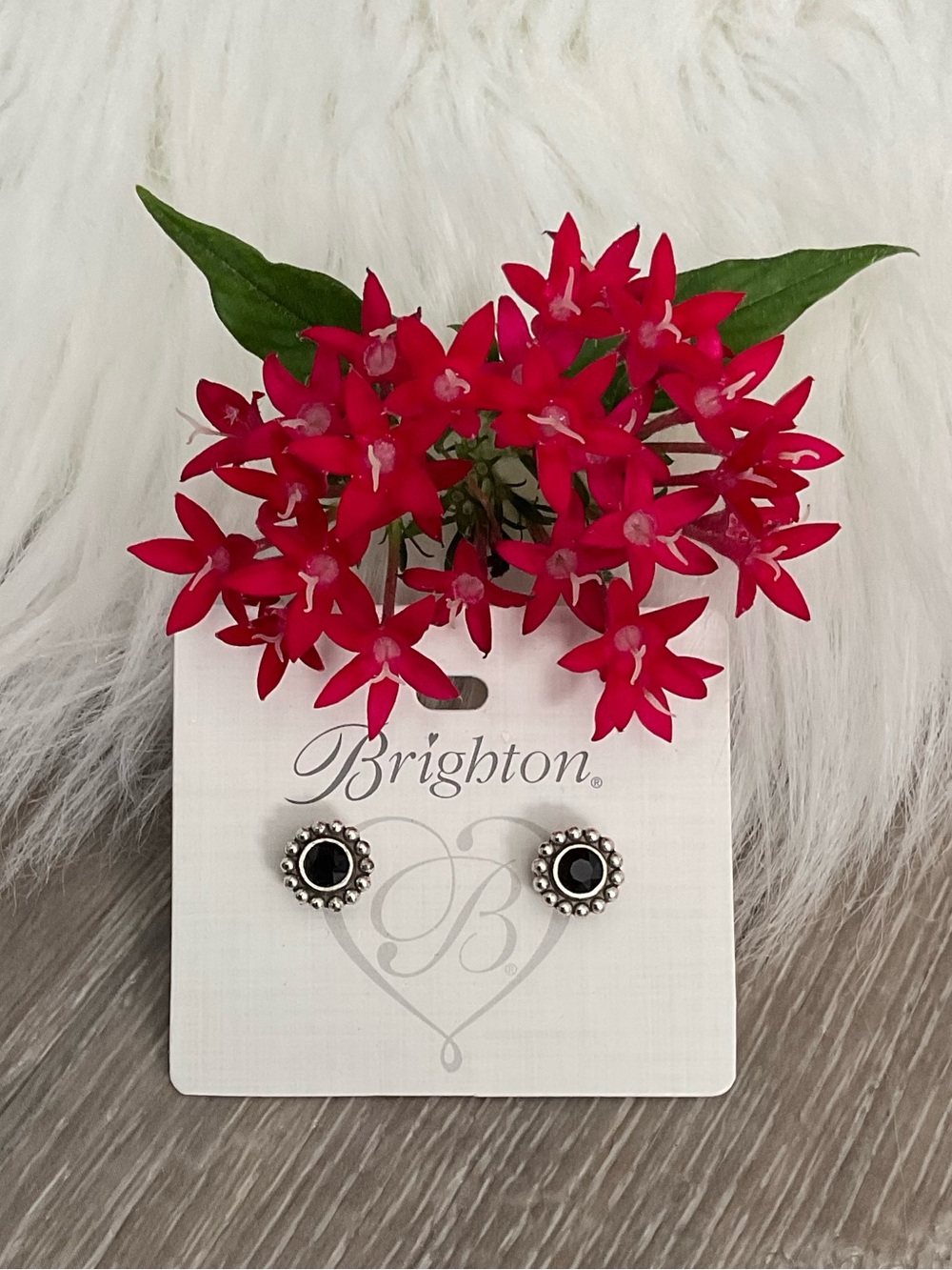 🖤 BRIGHTON Black Twinkle Mini Post Earrings